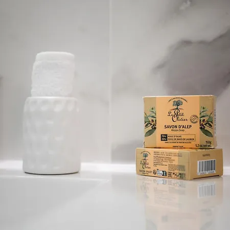 Le Gloria - Hyper Centre - Proche - Wifi דירה *